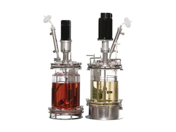 玻璃发酵罐